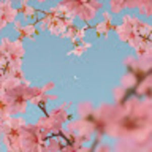 Meet your Posher, Alexa